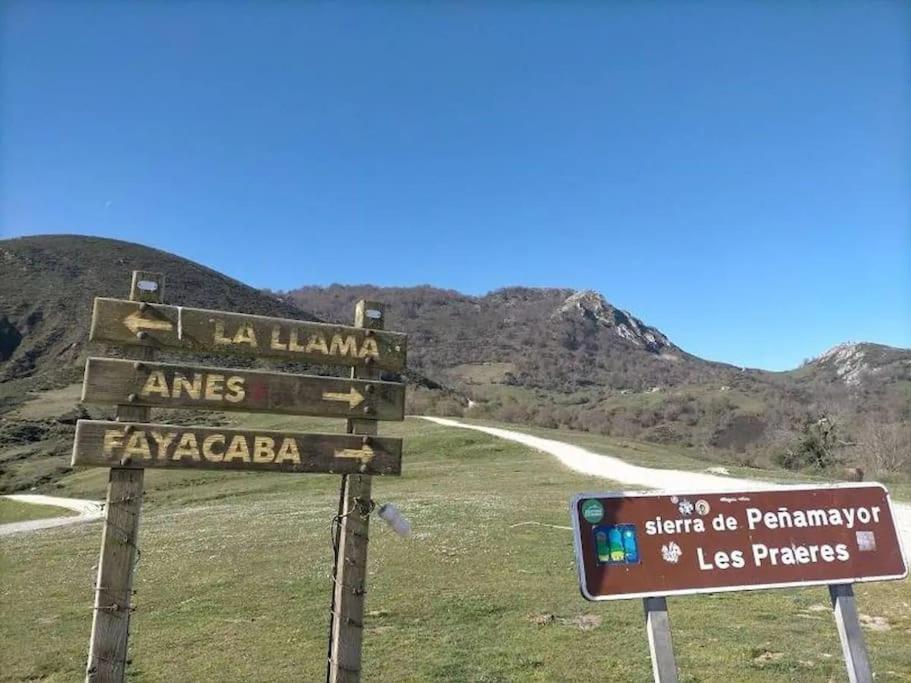 Ca La Trini Vivienda Vacacional Nava Bagian luar foto